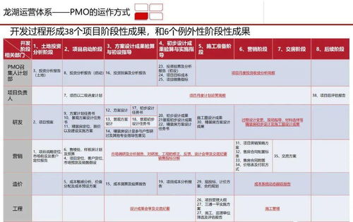 高效賦能 龍湖PMO項目管理部如何通過體系研究驅(qū)動企業(yè)管理升級