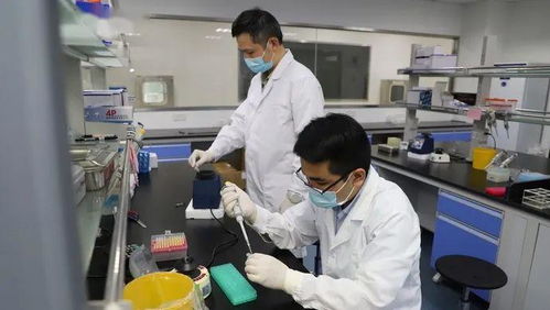 科技抗疫新突破 滬企融合通信技術，核酸檢測時間大幅縮短至1小時