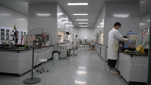千帆競發浪潮涌 三門以通信技術開發為抓手，全力打造接滬融甬先行區