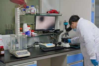 以生物造萬物 合成生物產(chǎn)業(yè)化提速，開啟生物技術(shù)研發(fā)新紀(jì)元